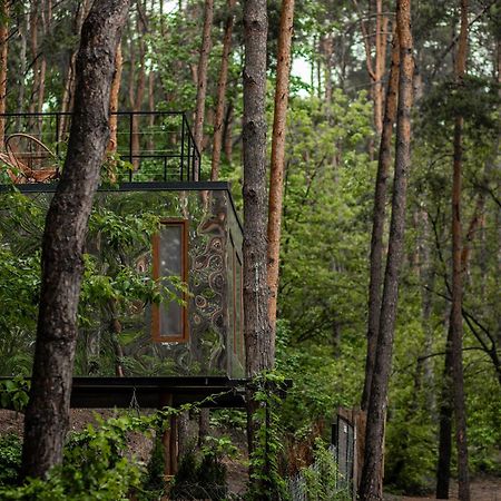 Willa Nad Narvią - lustrzany dom na drzewach Serock Zewnętrze zdjęcie