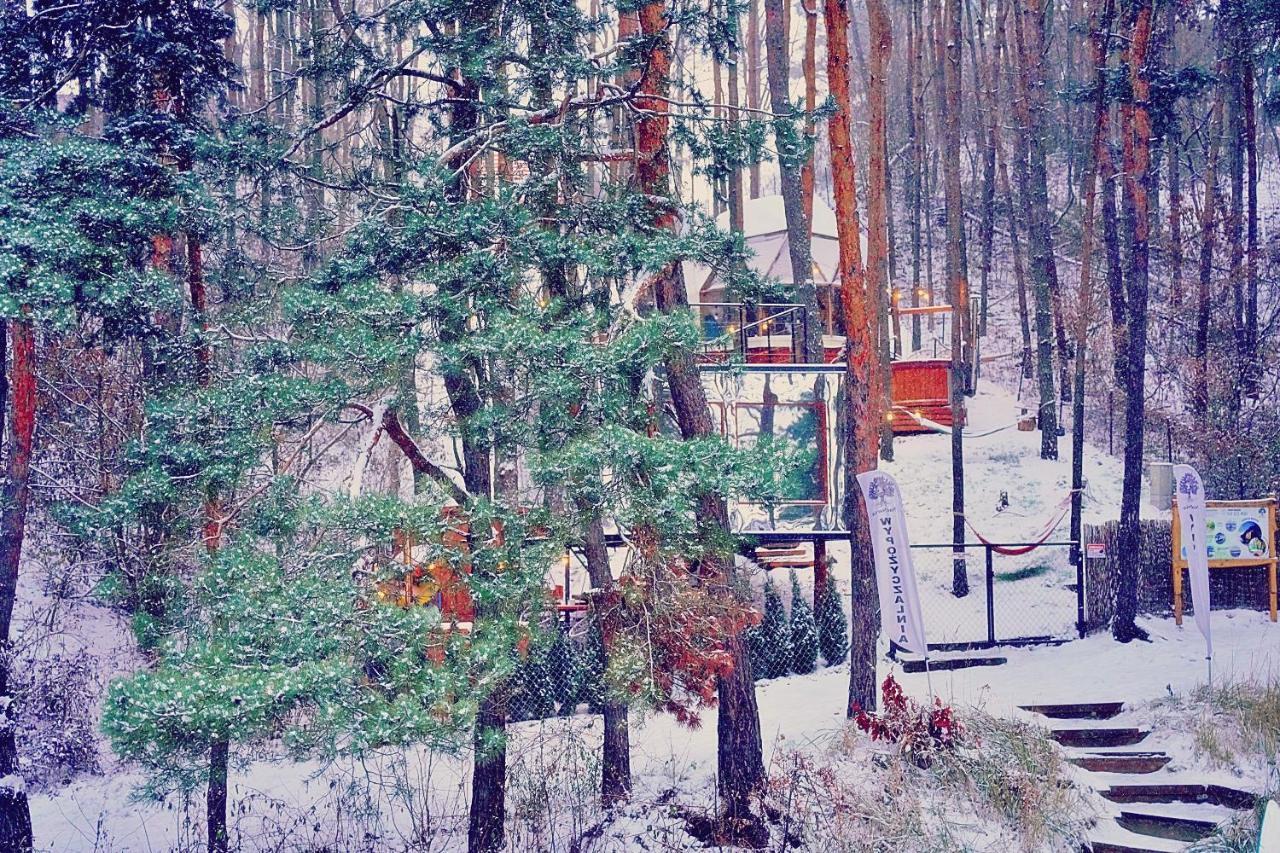 Willa Nad Narvią - lustrzany dom na drzewach Serock Zewnętrze zdjęcie